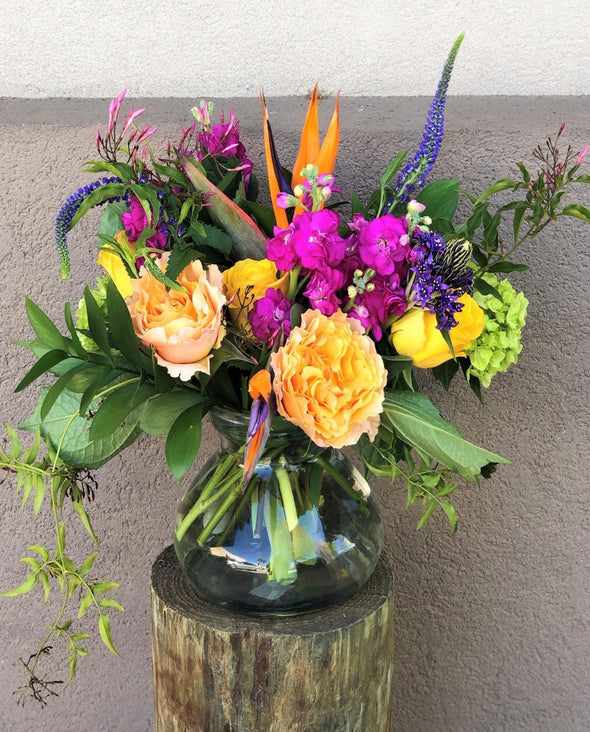 WILD POSIE
