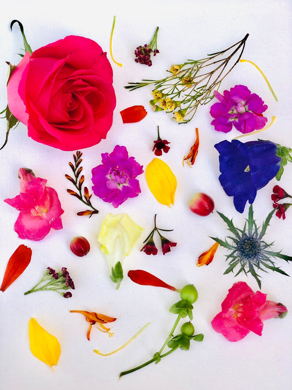 Seasonal Garden Mix with petal swatches