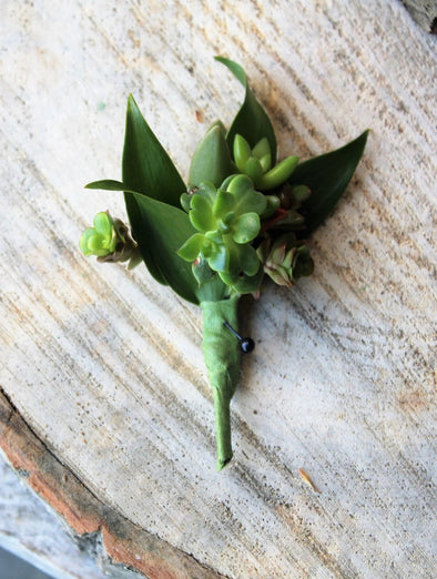 SUCCULENT BOUTONNIERE