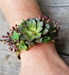 SUCCULENT CUFF BRACELET