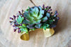 SUCCULENT CUFF BRACELET