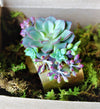SUCCULENT CUFF BRACELET