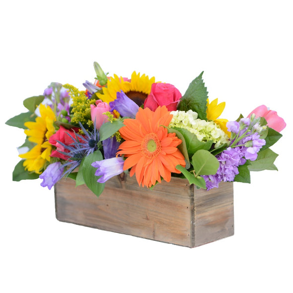 MARKET BOX